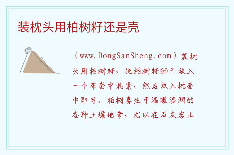 装枕头用柏树籽还是壳 
