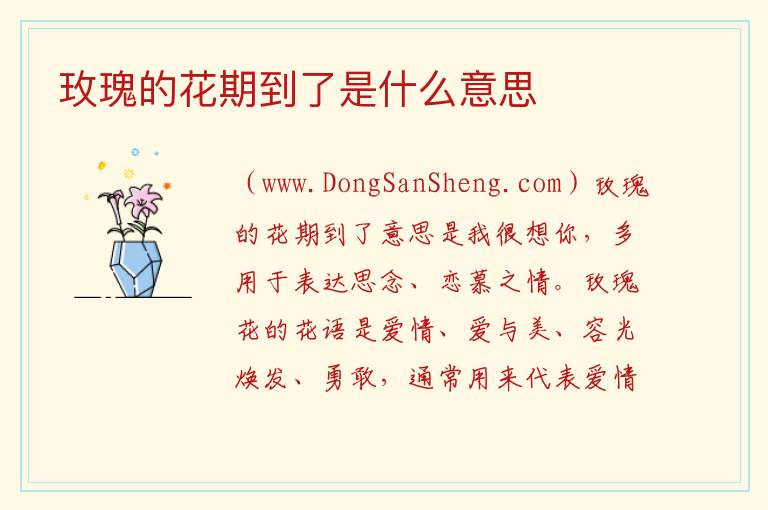 玫瑰的花期到了是什么意思 