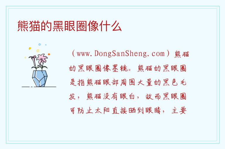 熊猫的黑眼圈像什么 