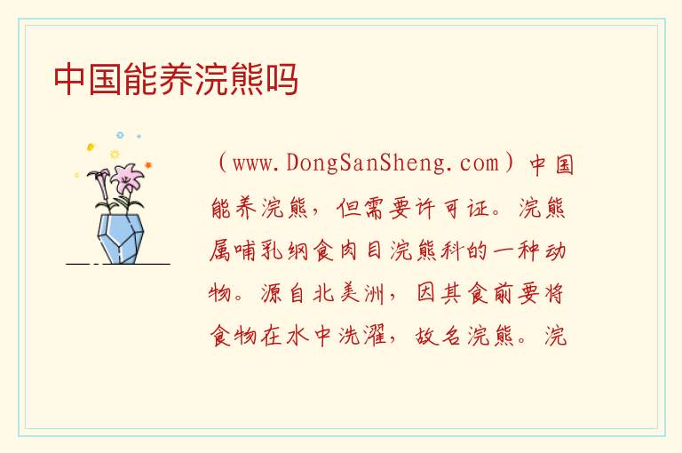 中国能养浣熊吗 