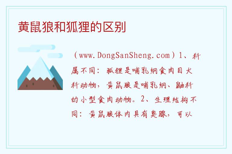 黄鼠狼和狐狸的区别 