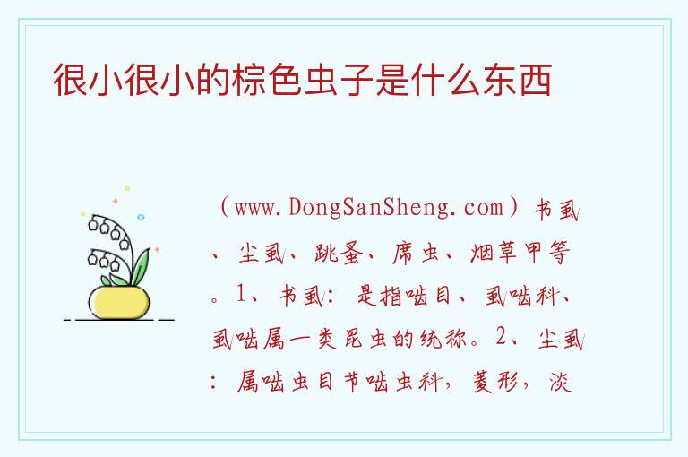很小很小的棕色虫子是什么东西 