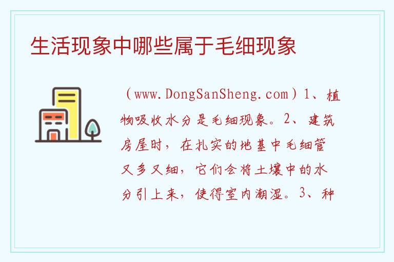 生活现象中哪些属于毛细现象 