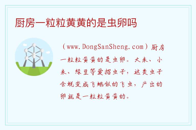 厨房一粒粒黄黄的是虫卵吗 
