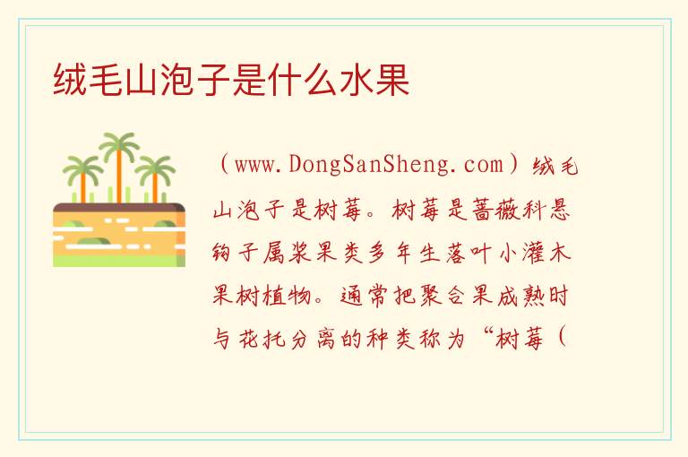 绒毛山泡子是什么水果 