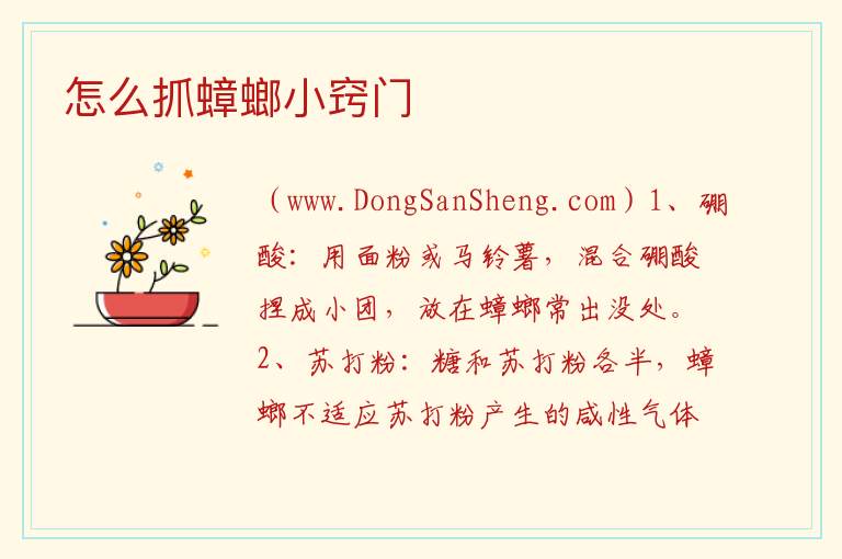 怎么抓蟑螂小窍门 