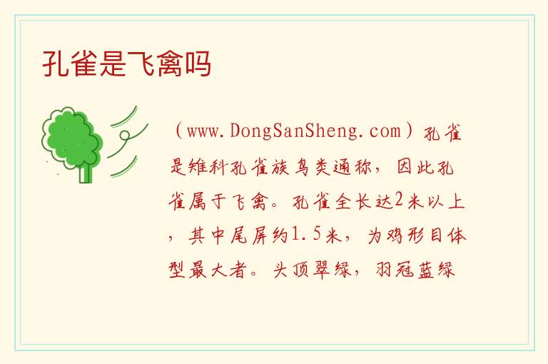 孔雀是飞禽吗 