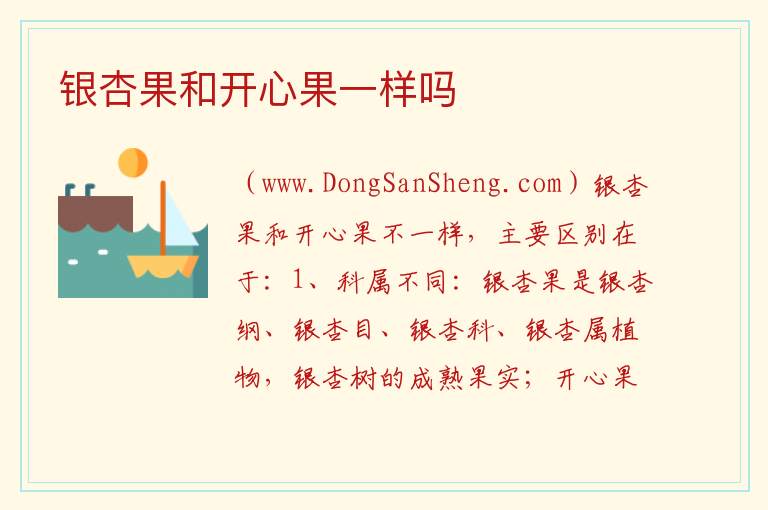 银杏果和开心果一样吗 