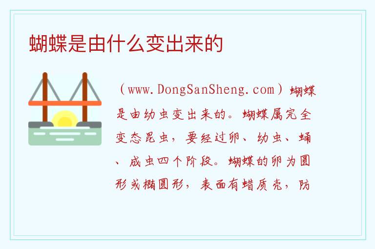 蝴蝶是由什么变出来的 