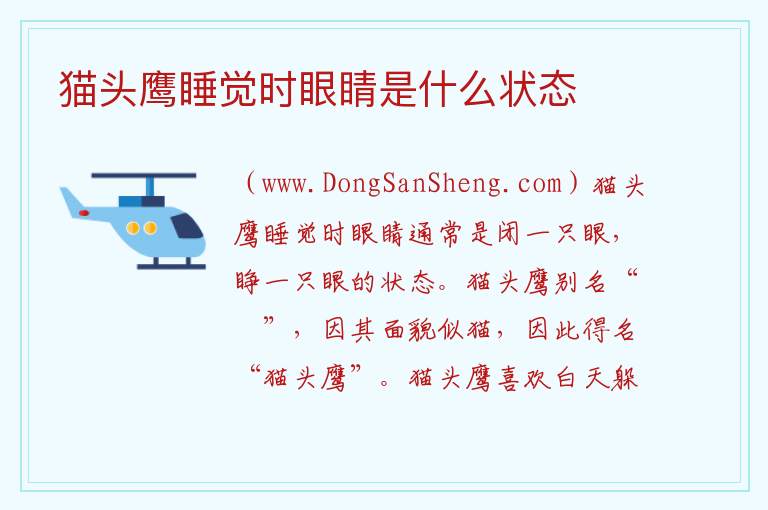 猫头鹰睡觉时眼睛是什么状态 
