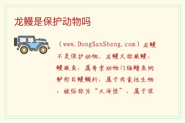 龙鳗是保护动物吗 