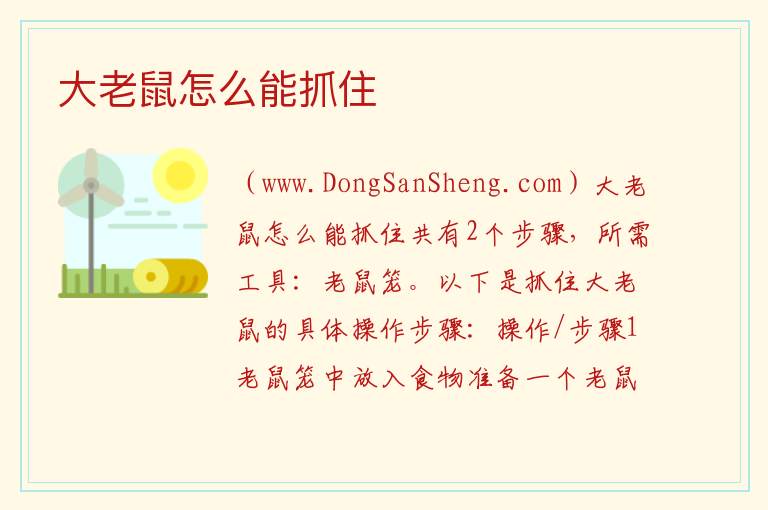 大老鼠怎么能抓住 