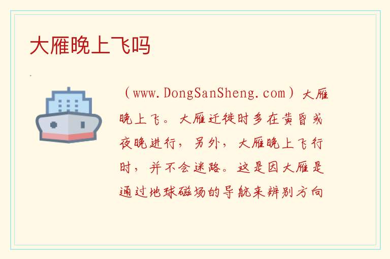 大雁晚上飞吗 