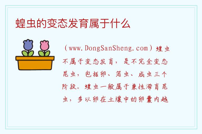 蝗虫的变态发育属于什么 