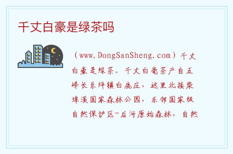 千丈白豪是绿茶吗 