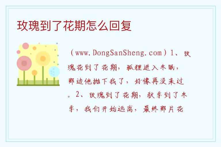 玫瑰到了花期怎么回复 