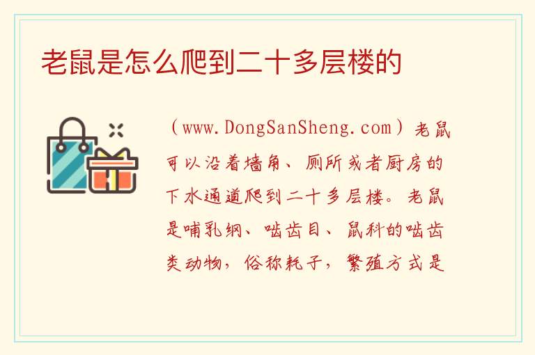 老鼠是怎么爬到二十多层楼的 