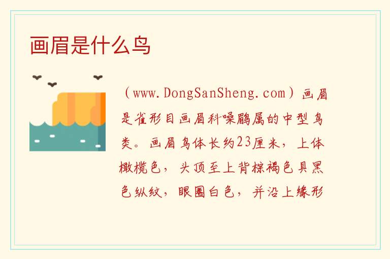 画眉是什么鸟 