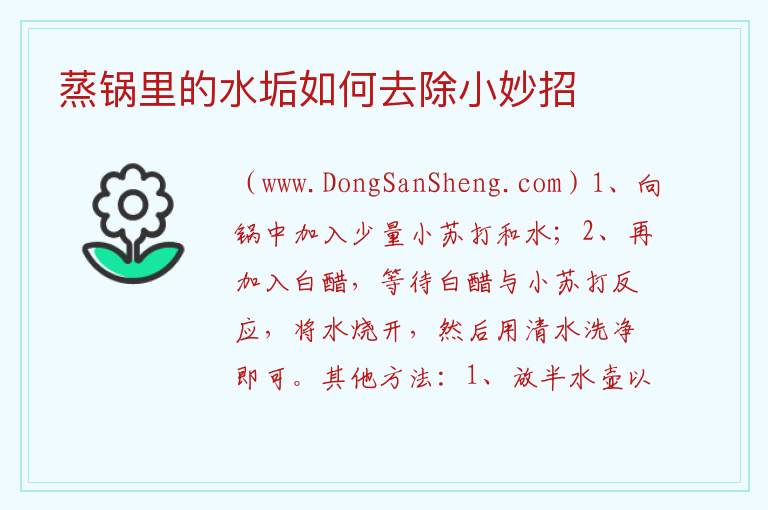 蒸锅里的水垢如何去除小妙招 