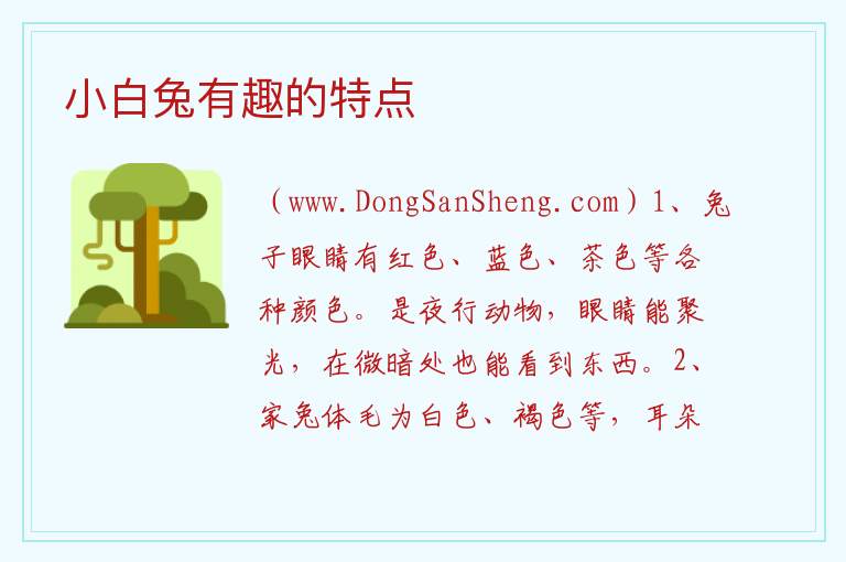 小白兔有趣的特点 