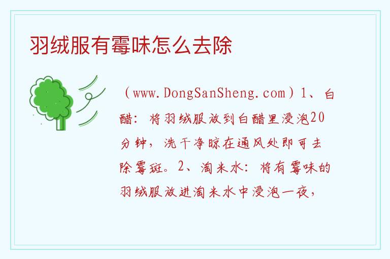 羽绒服有霉味怎么去除 