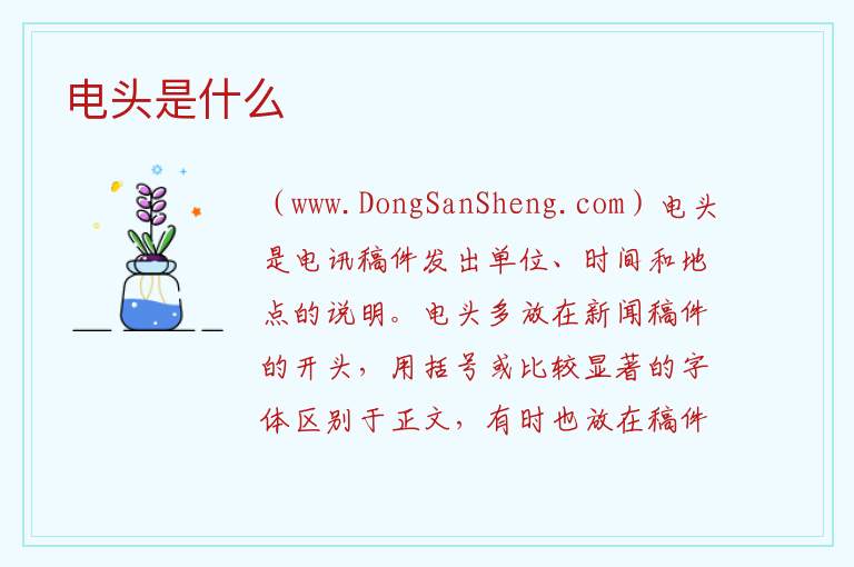 电头是什么 