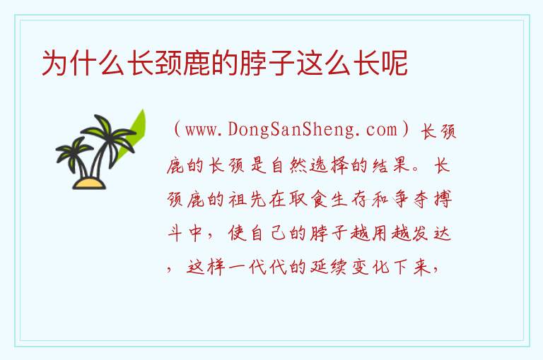 长颈鹿的脖子长长的黄黄的，长颈鹿的脖子长长的黄黄的