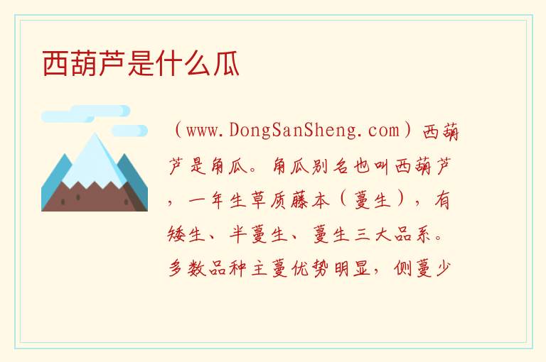 西葫芦是什么瓜 