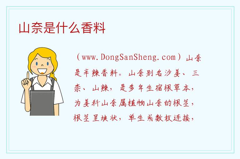 山奈是什么香料 