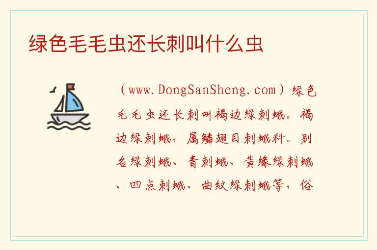 绿色毛毛虫还长刺叫什么虫 