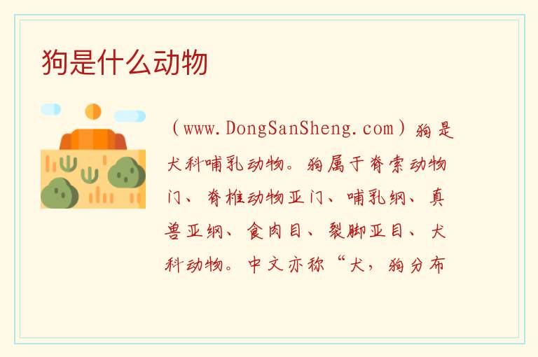 狗是什么动物 