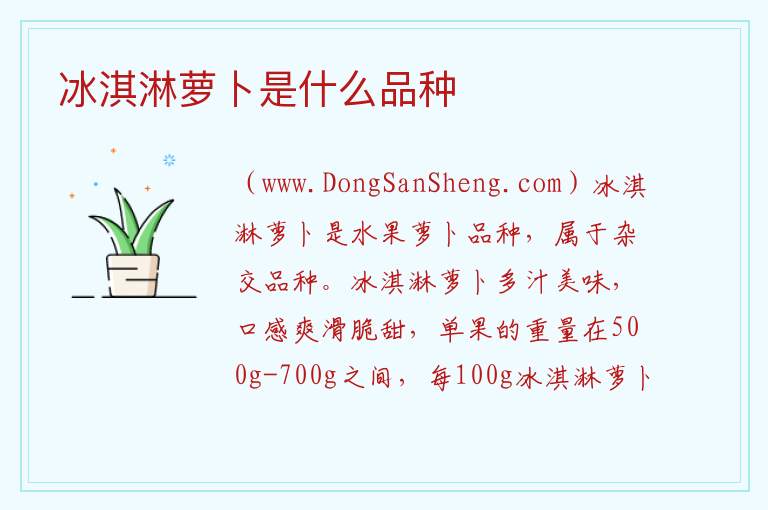 冰淇淋萝卜是什么品种 