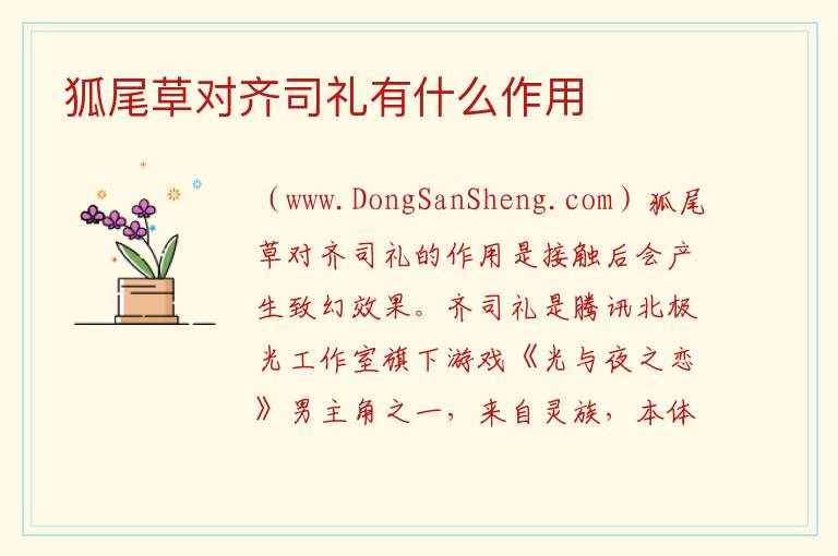 狐尾草对齐司礼有什么作用 