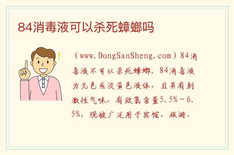 84消毒液可以杀死蟑螂吗 