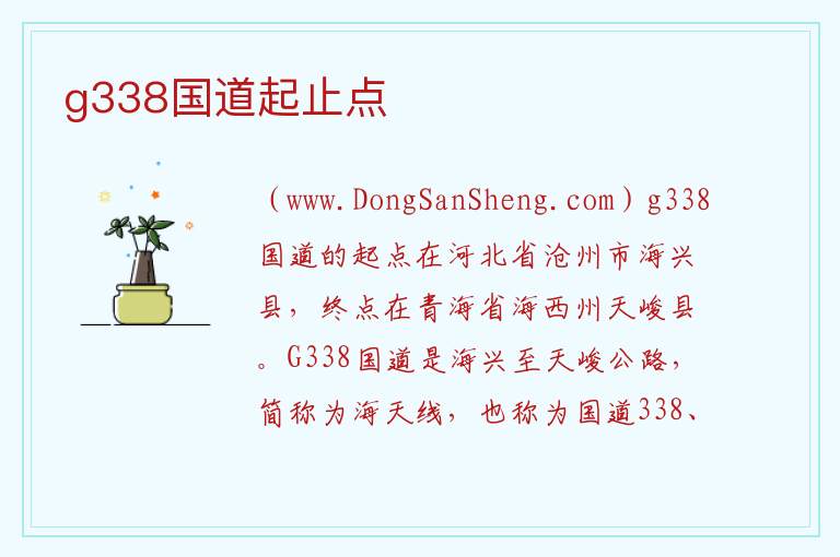 g338国道起止点 
