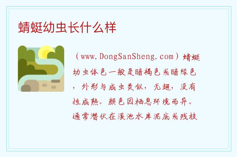 蜻蜓幼虫长什么样 