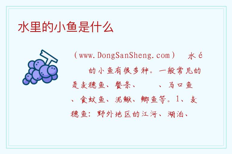 水里的小鱼是什么 