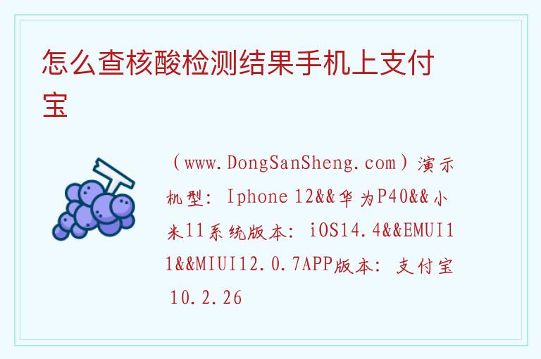 怎么查核酸检测结果手机上支付宝 