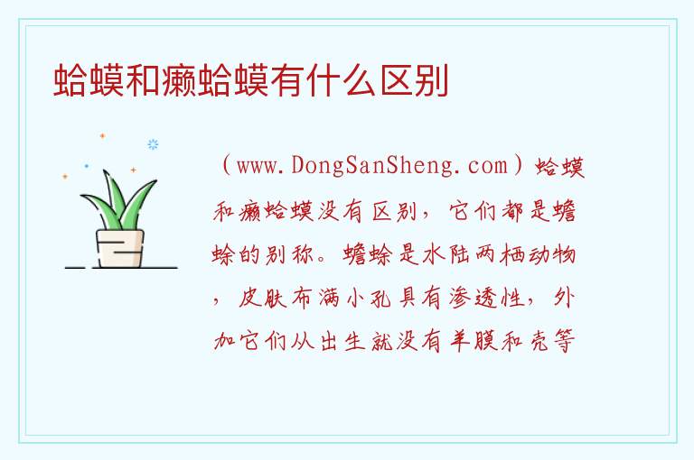 蛤蟆和癞蛤蟆有什么区别 
