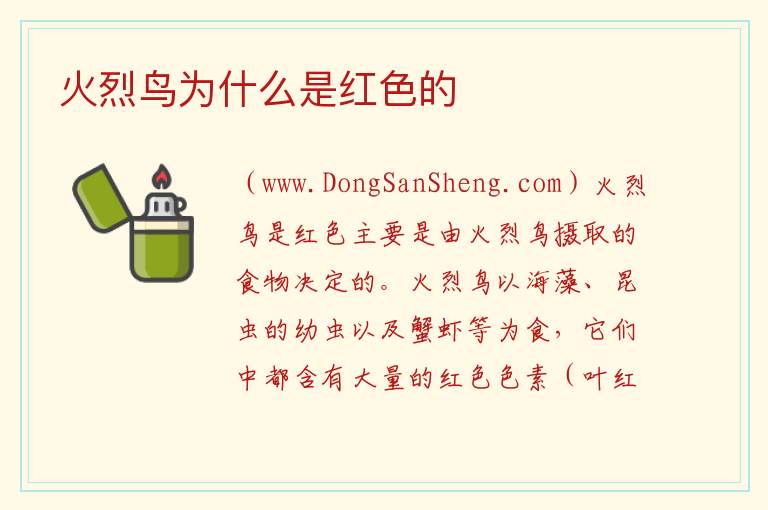 火烈鸟为什么是红色的 