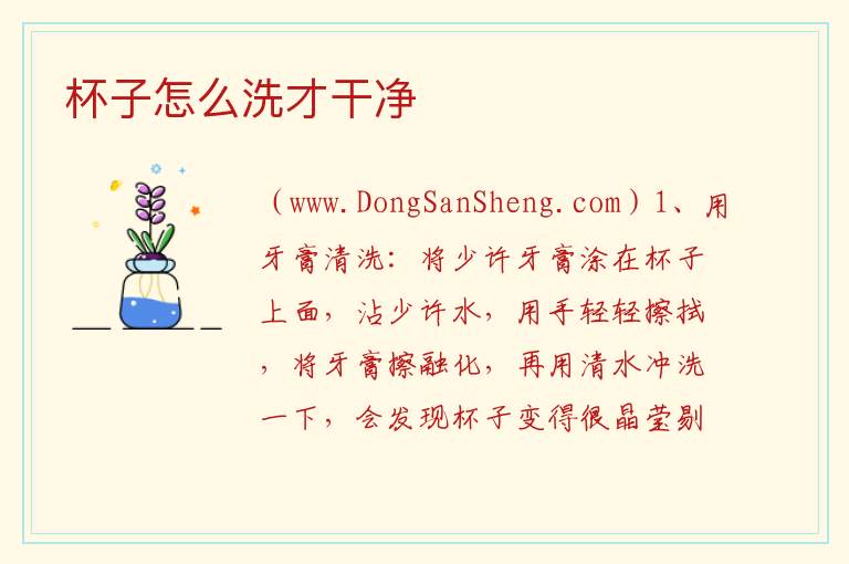 杯子怎么洗才干净 