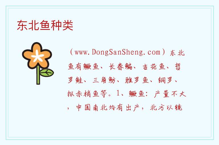 东北鱼种类 