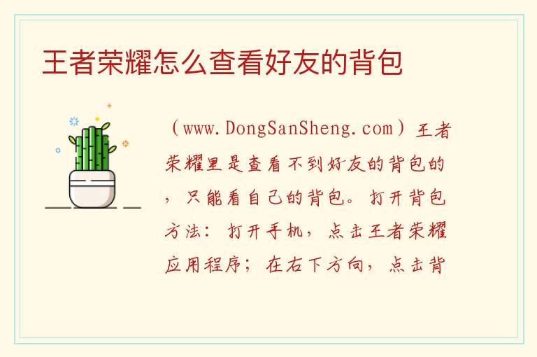 王者荣耀怎么查看好友的背包 