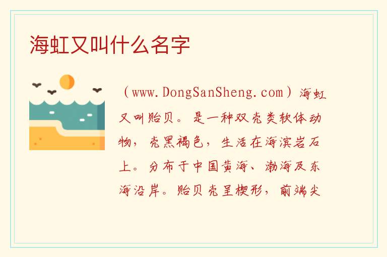 海虹是什么东西，海虹是什么东西