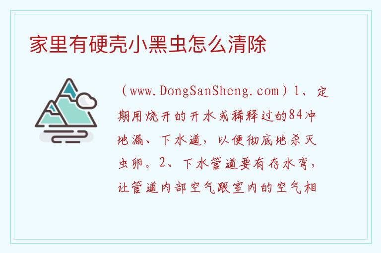 家里有硬壳小黑虫怎么清除 