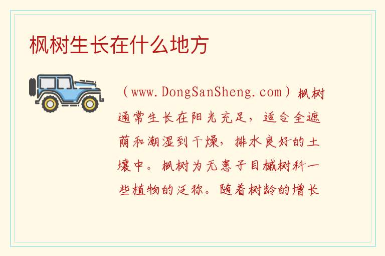 枫树生长在什么地方 