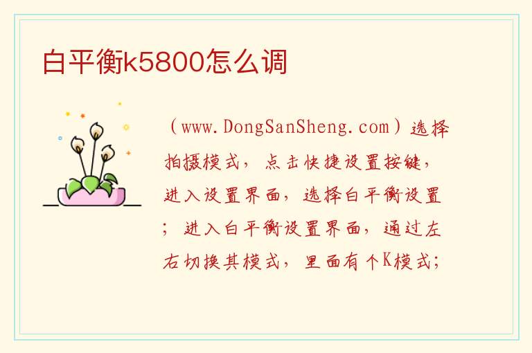 白平衡k5800怎么调 