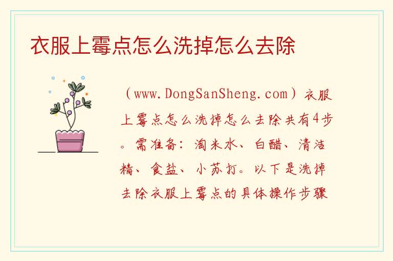 衣服上霉点怎么洗掉怎么去除 