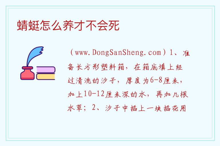 蜻蜓怎么养才不会死 蜻蜓在家里一天就死
