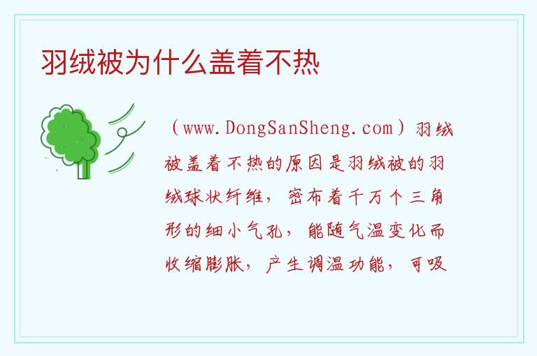 羽绒被为什么盖着不热 